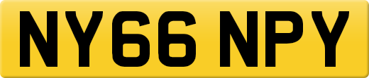 NY66NPY